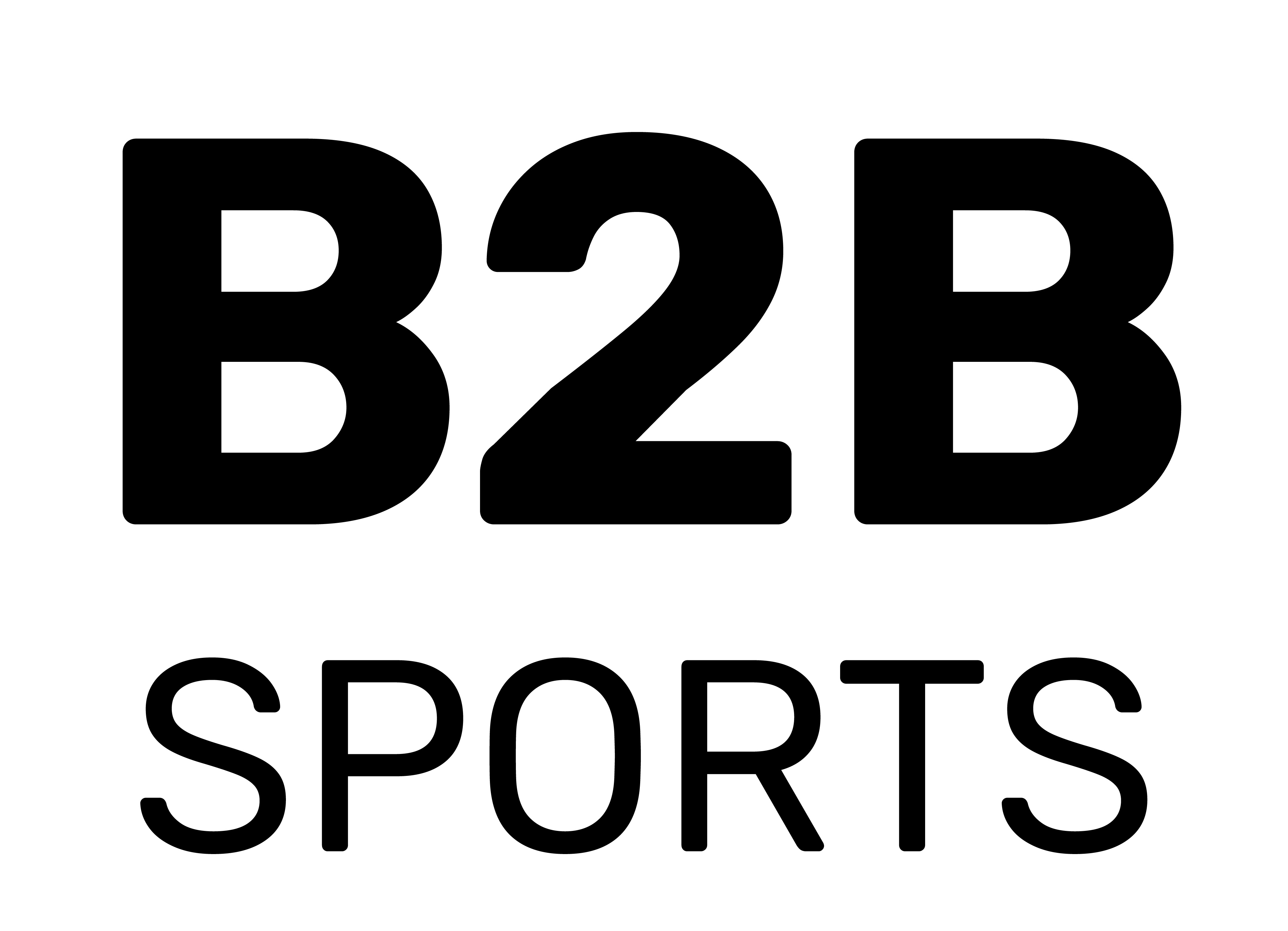 B2B Logo